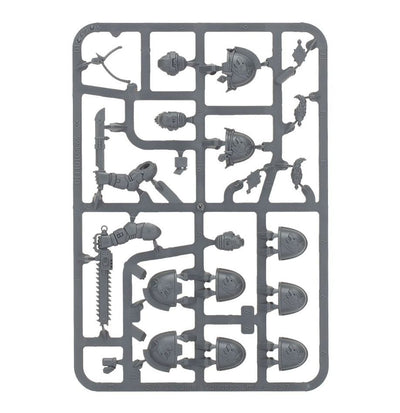 SM Space Wolves: Primaris Upgrades