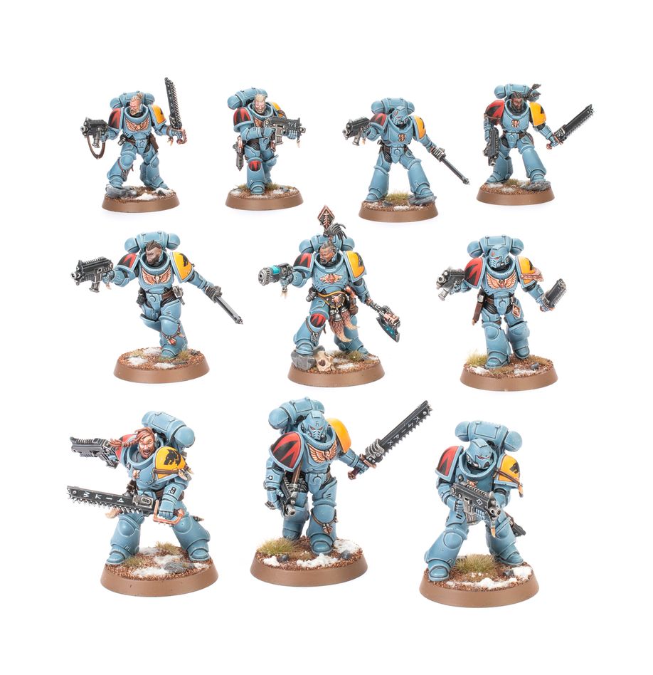 SM Space Wolves: Grey Hunters