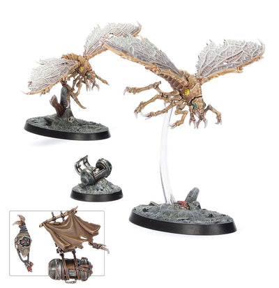 Ash Waste: Ashwing Helamites